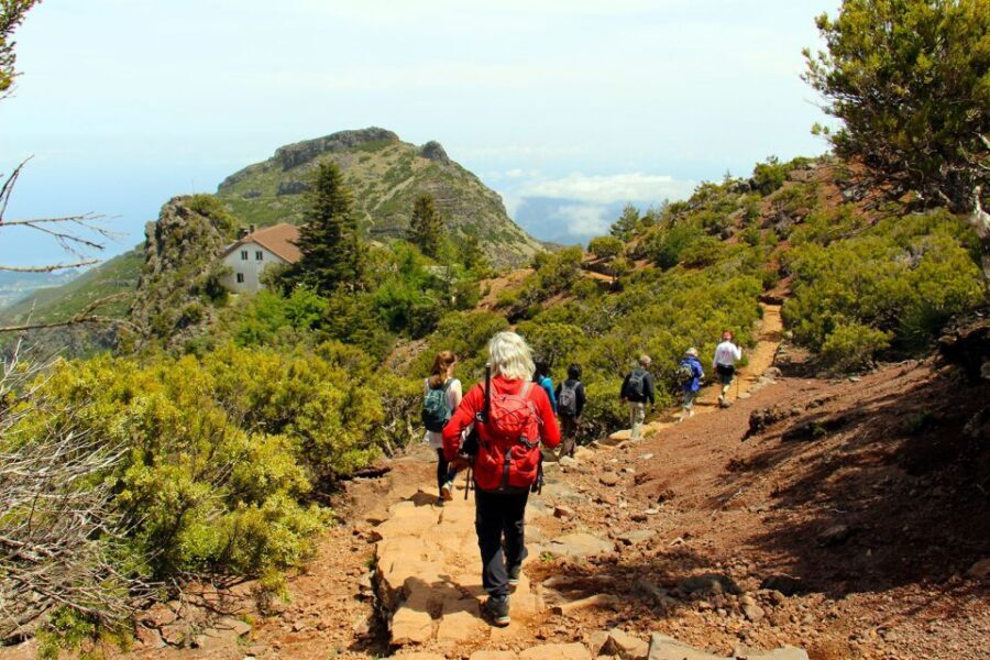 From Funchal: Madeira Peaks Mountain Walk - The van ride from Funchal: how you trade effort for access