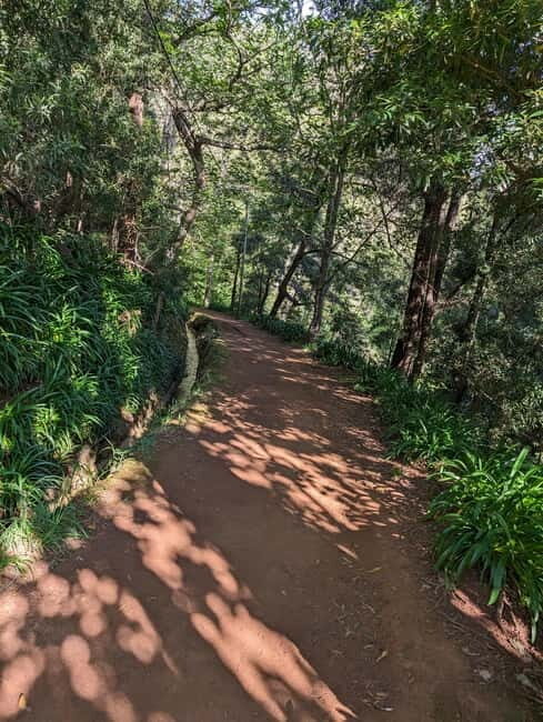 From Funchal: Pico Arieiro Sunrise with Optional Breakfast - Weather-proofing: how they save the sunrise when it turns cloudy