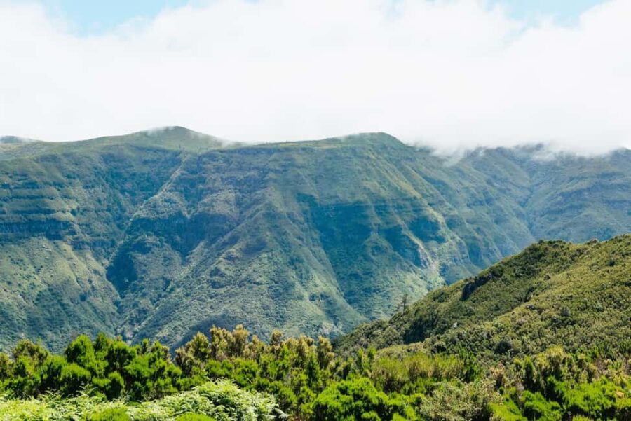 From Funchal: Porto Moniz and Seixal Day Tour by Jeep - What to Bring (and What to Skip)