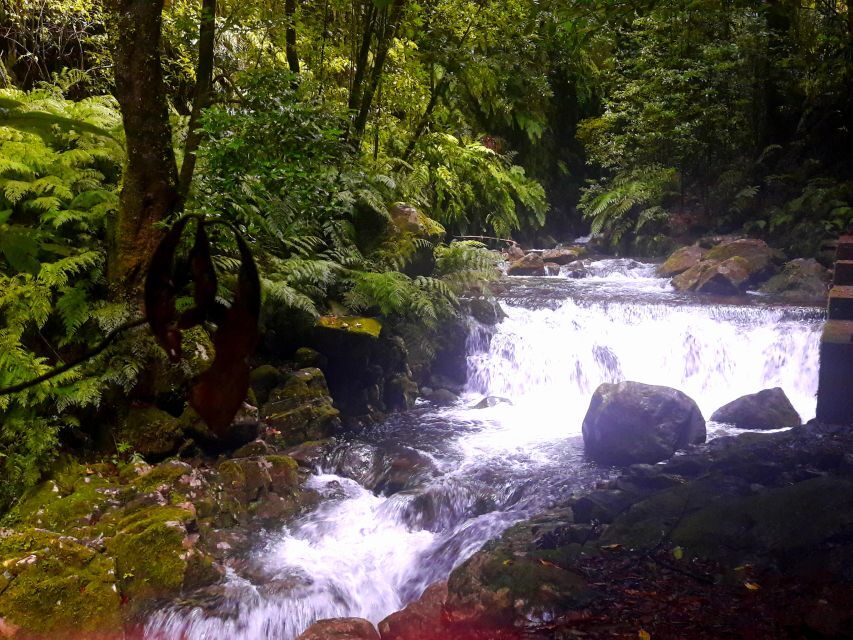 From Funchal: São Jorge Valleys Levada Walk - Should you book the São Jorge Valleys Levada Walk?