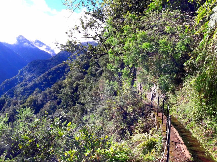 From Funchal: São Jorge Valleys Levada Walk - From Funchal to São Jorge: the morning setup that matters