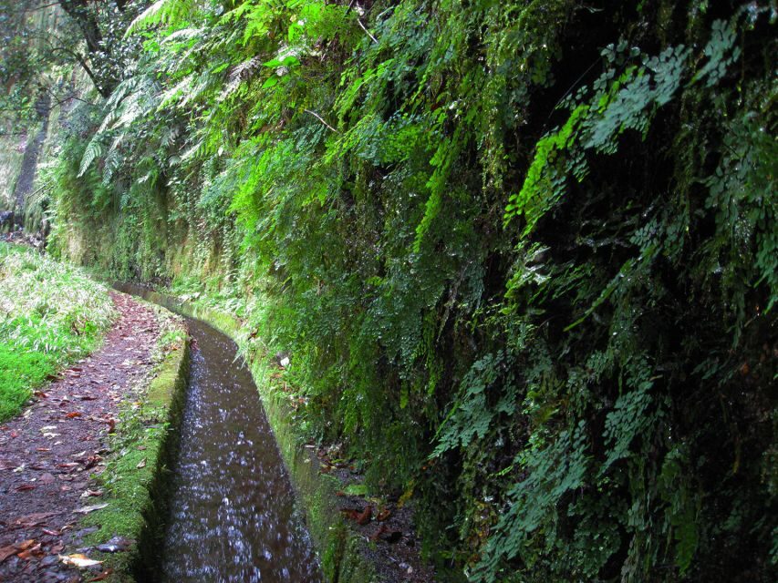 From Funchal: São Jorge Valleys Levada Walk - Midday pause and the return hike: keeping your pace