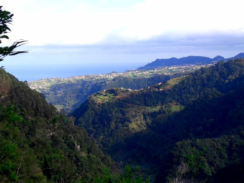 From Funchal: São Jorge Valleys Levada Walk - What to bring: shoes, water, and staying comfortable in mist