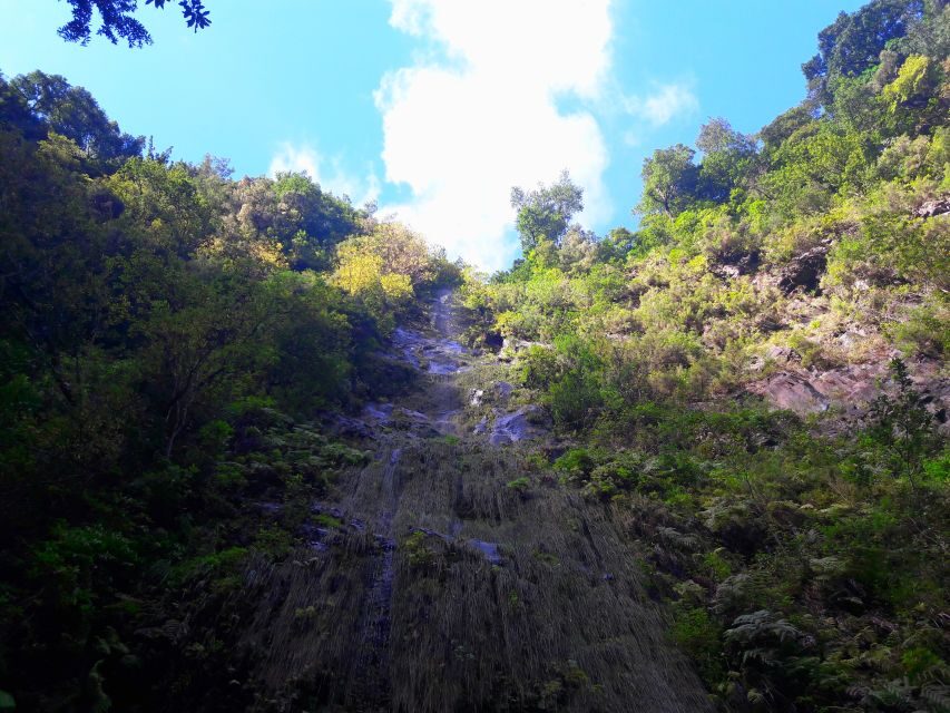 From Funchal: São Jorge Valleys Levada Walk - Price and value: is $50 for eight hours a good deal?