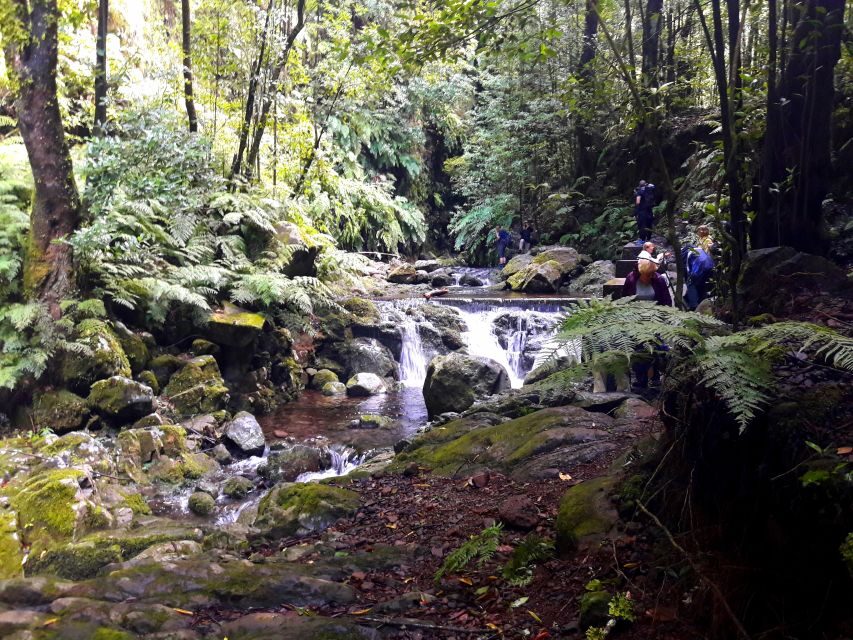 From Funchal: São Jorge Valleys Levada Walk - Who this suits best—and who should think twice