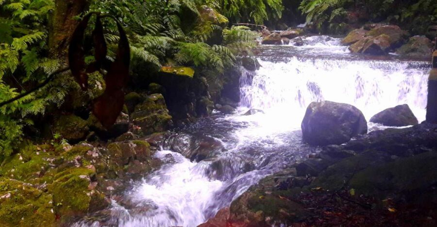 From Funchal: São Jorge Valleys Levada Walk - Levada walking: why these paths feel so special