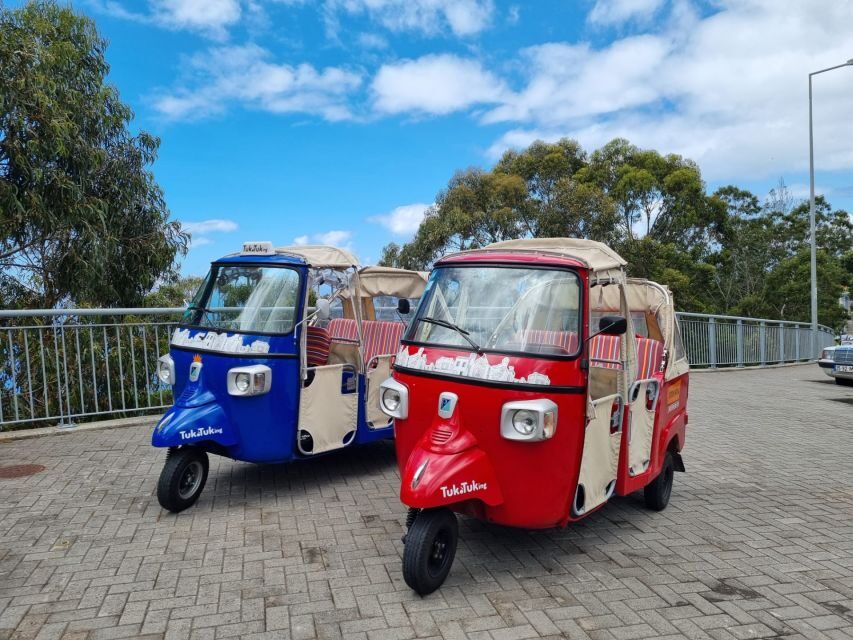 From Funchal: Tuk Tuk Tour to Camara de Lobos and Cabo Girao - Key Highlights You’ll Remember