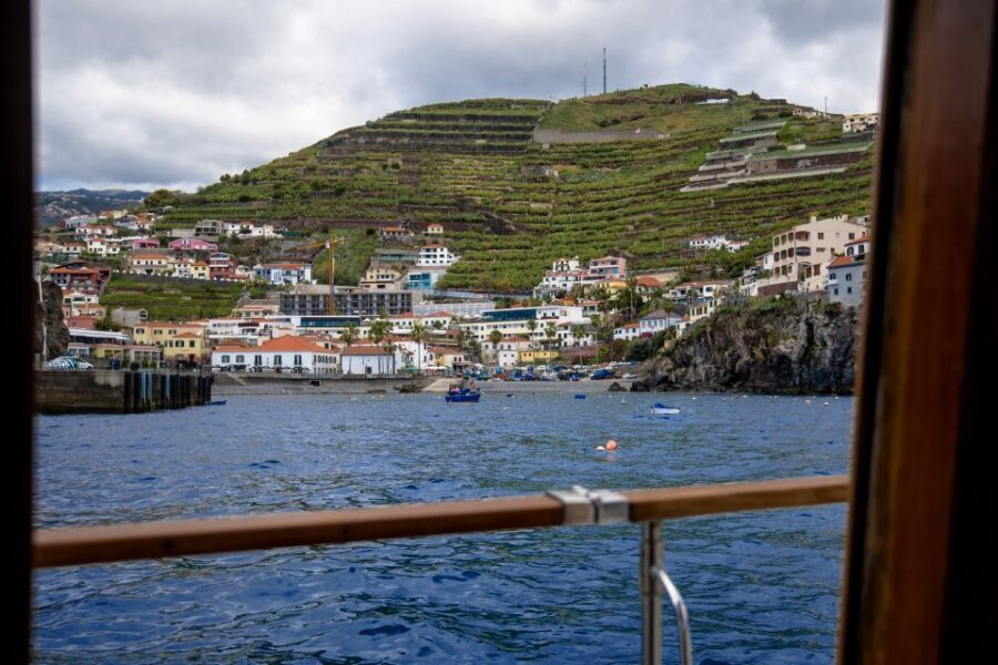 From Funchal: West Bays Sailing Tour with Lunch - Leaving Funchal: The “Find the Wildlife” Part That Makes It Worth It