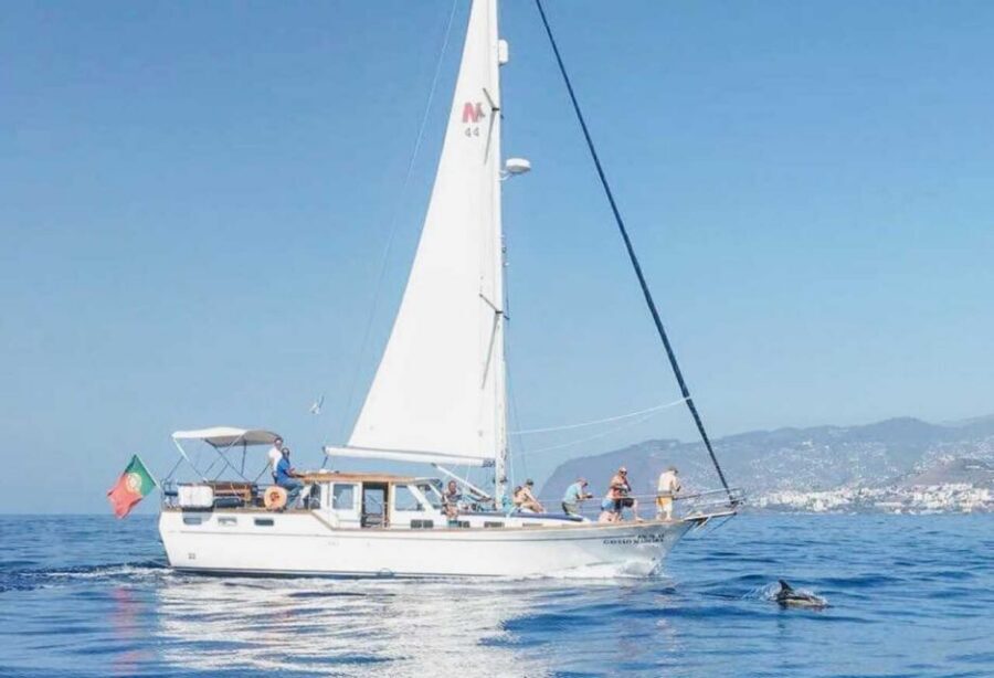 From Funchal: West Bays Sailing Tour with Lunch - Along the West Coast: Ponta do Sol and Ribeira Brava Views
