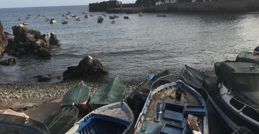 From Funchal: West Madeira and Laurel Forest Day Trip - Câmara de Lobos Fishing Village to Cabo Girão Sky Views