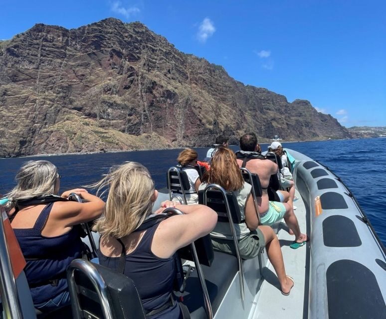 From Funchal: Whale and Dolphin Watching - Key highlights to look forward to