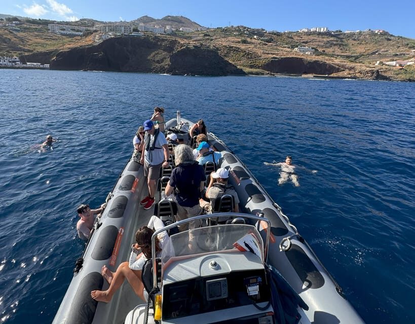 From Funchal: Whale and Dolphin Watching - Who this tour suits best (and who should be cautious)