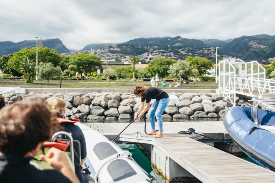 From Funchal: Whales and Dolphin Adventure Tour - Madeira’s Cetacean Playground: Why This 2-Hour Trip Works