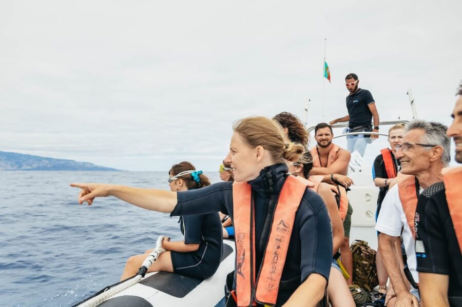 From Funchal: Whales and Dolphin Adventure Tour - What’s Included (and What You’ll Need): Snorkel Gear and Packing List