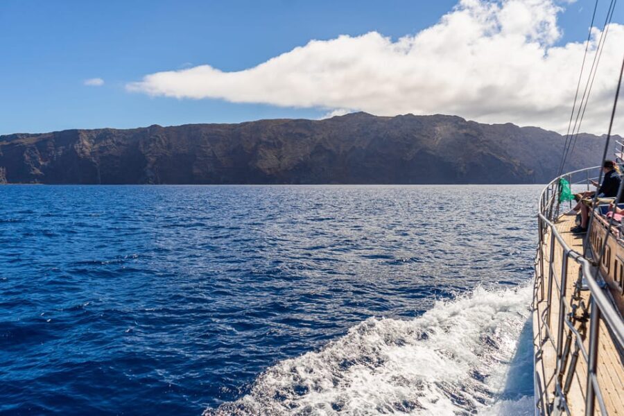 From Funchal: Wooden Boat Excursion to Desertas Island - Motion and health: who this boat trip won’t work for