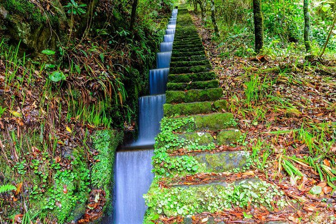 Full Day East of Madeira Tour - Miradouro da Portela and Santo da Serra: countryside views and golf-course fame