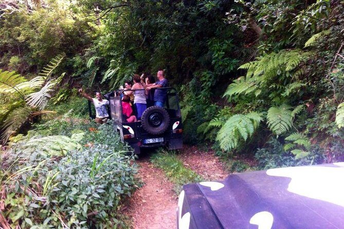 Full Day Jeep Safari East - Pico do Areeiro - Santana - Ponta de são Lourenço - Porto da Cruz and Engenhos do Norte: Rum Tasting Time