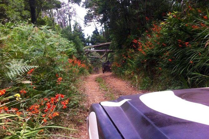 Full-Day Jeep Safari West: Fanal, Porto Moniz, Seixal, Cabo Girão - Pickup, Start Time, and How the Day Flows