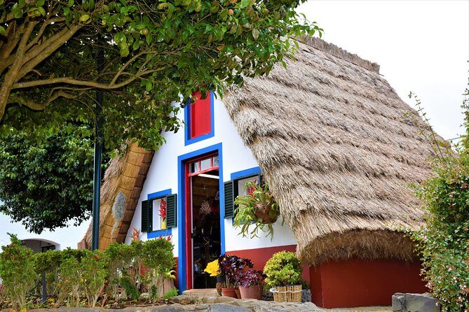Full Day - Madeira East - Price and logistics: how a $42 full-day day trip can make sense