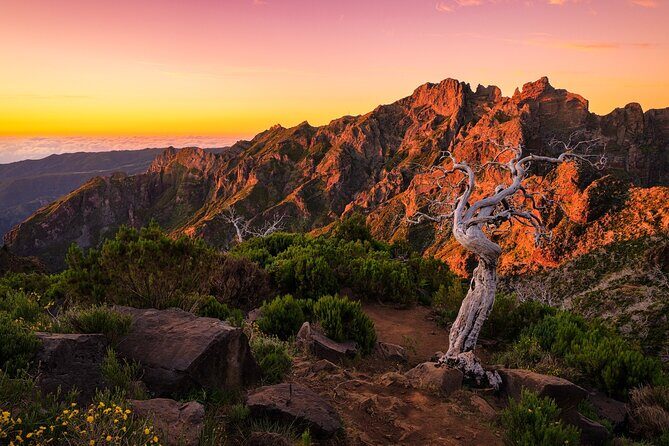 Full Day Madeira Island Tour - Open Roof - Seixal’s Véu da Noiva viewpoint and Póca das Lesmas rock pools