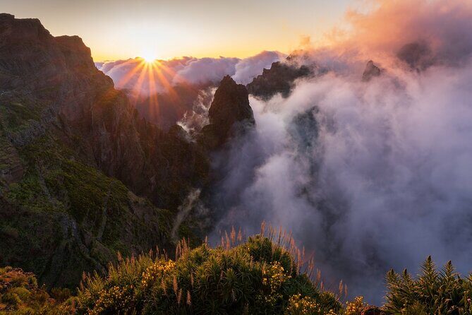 Full Day Madeira Island Tour - Open Roof - Ponta do Sol sunshine side and Serra de Água poncha break