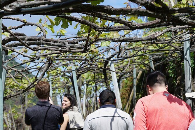 Full-Day Madeira Wine Tasting Tour with Lunch - Stop 3: Câmara de Lobos Area (Estreito de Câmara de Lobos, 1 Hour)