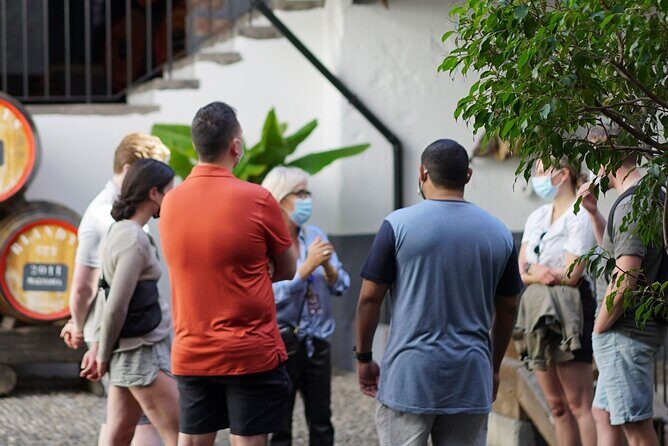 Full-Day Madeira Wine Tasting Tour with Lunch - The Wine Stops: How the Tastings Work in Real Life