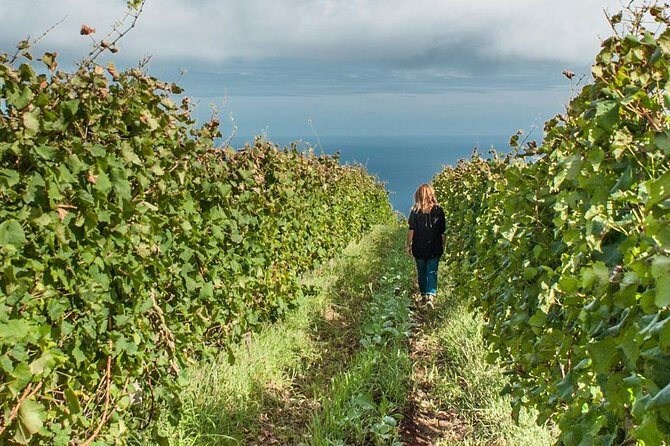 Full-Day Madeira Wine Tasting Tour with Lunch - Stop 1: São Vicente (2 Hours) and the North Coast Mindset
