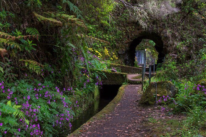 Full Day of Wonders: Madeira 4x4 Private Tour - Waterfall panoramas and the “stop and stare” effect
