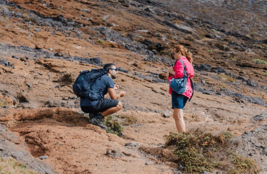 Full Day Ponta de São Lourenço - Natural Reserve - Windproof planning: what to wear and bring for an exposed peninsula