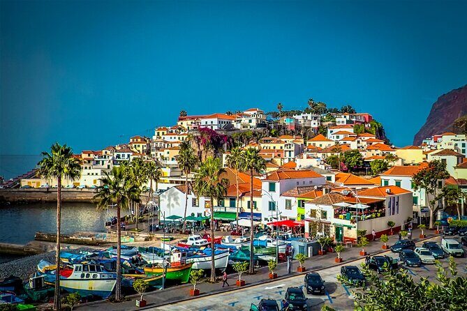 Full-Day Porto Moniz Madeira Island Tour - Paúl da Serra and Fanal’s UNESCO Laurel Forest Stop