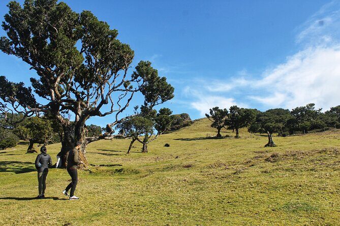 Full Day Private 4x4 Tour in West Madeira with Local Guide - Why this West Madeira 4x4 day feels easier than DIY driving