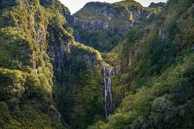 Full-Day Rabaçal Levada Walk from Funchal - Paul da Serra down to Risco: where the walking starts to feel real