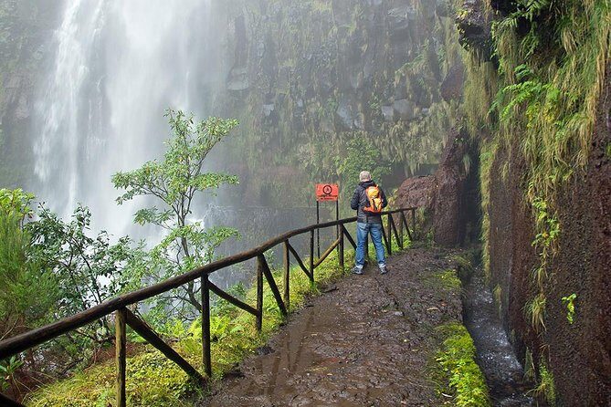 Full-Day Rabaçal Levada Walk from Funchal - Levada das 25 Fontes: springs, a small lake, and the crowd factor