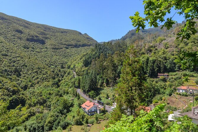 Full-Day Santana Madeira Island Tour - The day’s engine: vehicle comfort, group size, and how long 7–8 hours really is