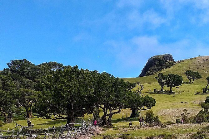 Full-Day Small Group Jeep Safari Tour from Funchal - Price and value: is $83.27 fair for a full Jeep day?