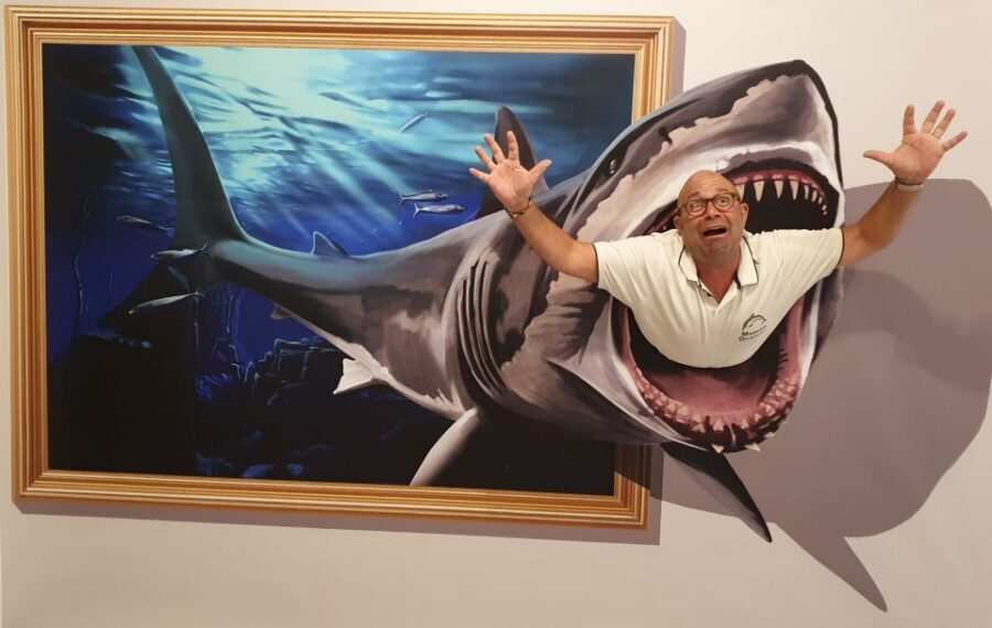 Funchal: 3D Fun Art Museum - Key Highlights You’ll Actually Use