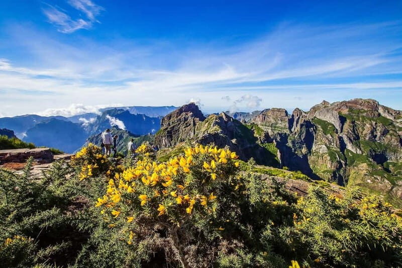 Funchal: 4x4 Jeep Trip to the East and Northeast of Madeira - 4x4 Jeep Touring Highlights That Make This Day Worth It