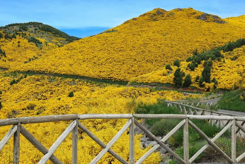 Funchal: 4x4 Jeep Trip to the East and Northeast of Madeira - Pico do Arieiro (1,818 m): The High-Altitude Payoff