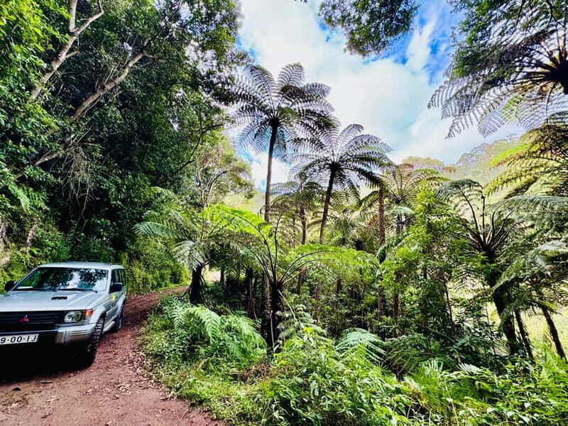Funchal: 4x4 Jeep Trip to the East and Northeast of Madeira - Getting Picked Up in Funchal and What a 7-Person Group Improves