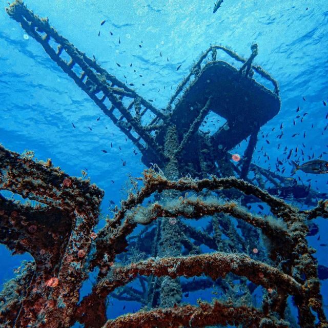 Funchal: Advanced Scuba Diving Afonso Cerqueira Wreck - The Afonso Cerqueira wreck: an artificial reef near Funchal