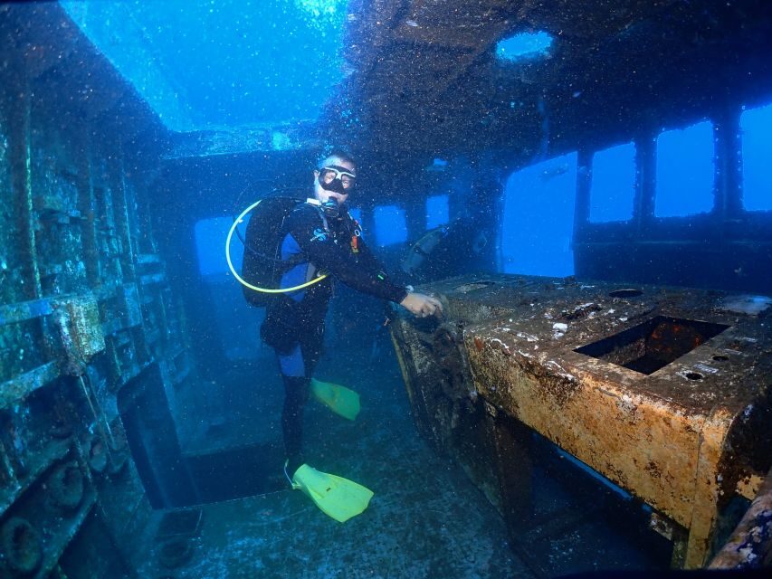 Funchal: Advanced Scuba Diving Afonso Cerqueira Wreck - Marine life in a protected reef setting: what to look for
