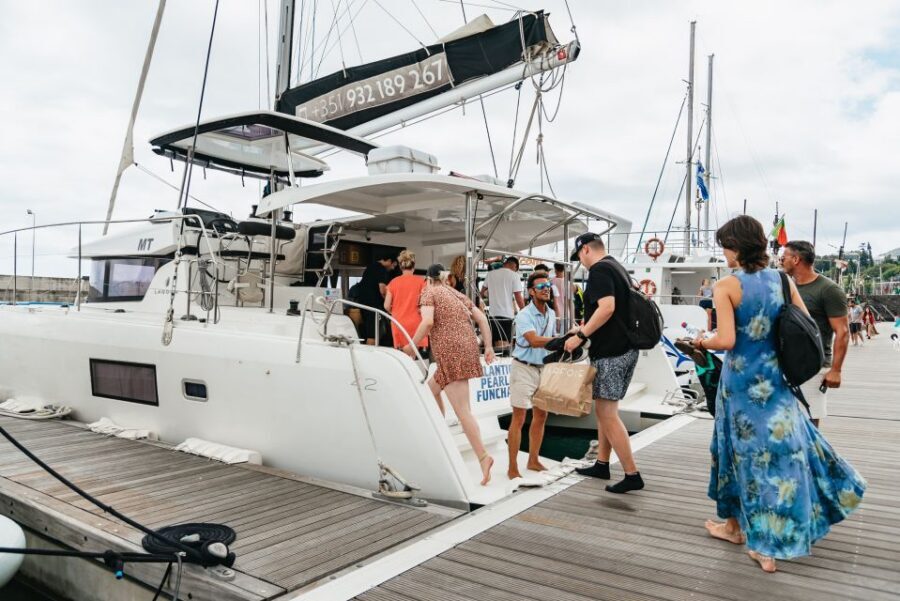 Funchal Bay: Dolphin & Whale Watch Luxury Catamaran Cruise - Key things to know before you go