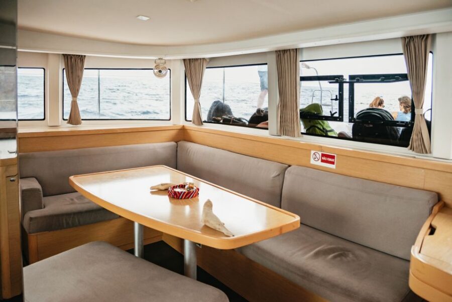 Funchal Bay: Dolphin & Whale Watch Luxury Catamaran Cruise - Wildlife expectations: how to enjoy the day even without sightings