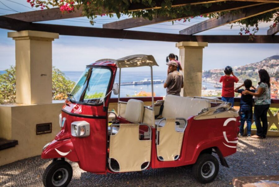 Funchal: Best Viewpoints Guided Tuk Tuk Tour - Barreirinha Viewpoint: Your First Bay of Funchal Reality Check