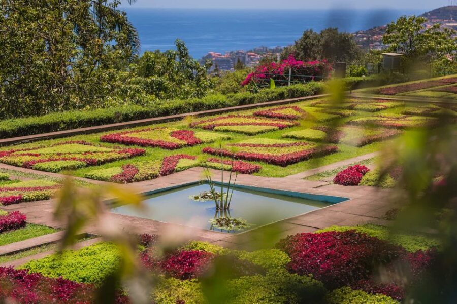 Funchal: Botanical Garden and Old Town Private Tuk-Tuk Tour - Key things I’d highlight before you go