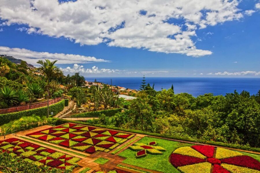 Funchal: Botanical Garden and Old Town Private Tuk-Tuk Tour - Why this Funchal tuk-tuk tour feels different fast