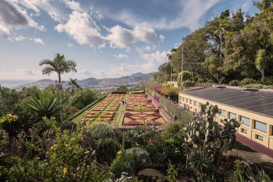 Funchal: Botanical Garden and Old Town Private Tuk-Tuk Tour - Ride comfort, steep streets, and what to bring