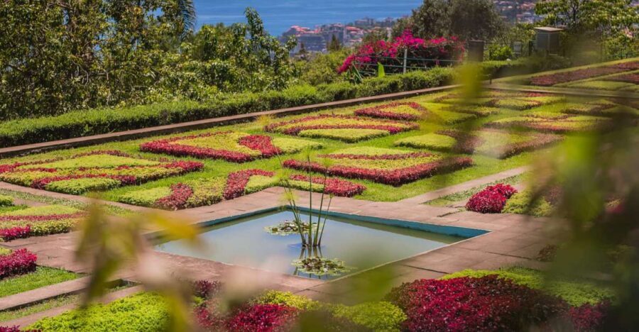 Funchal: Botanical Garden and Old Town Private Tuk-Tuk Tour - Pickup in Funchal and the start in Zona Velha