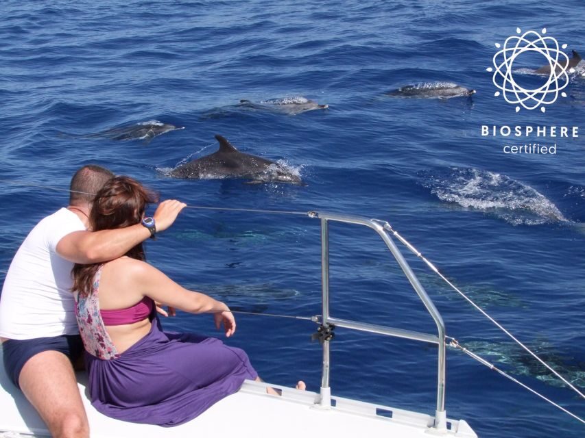 Funchal: Cabo Girão, Wines Tasting and Dolphins Watching - Key things to know before you go